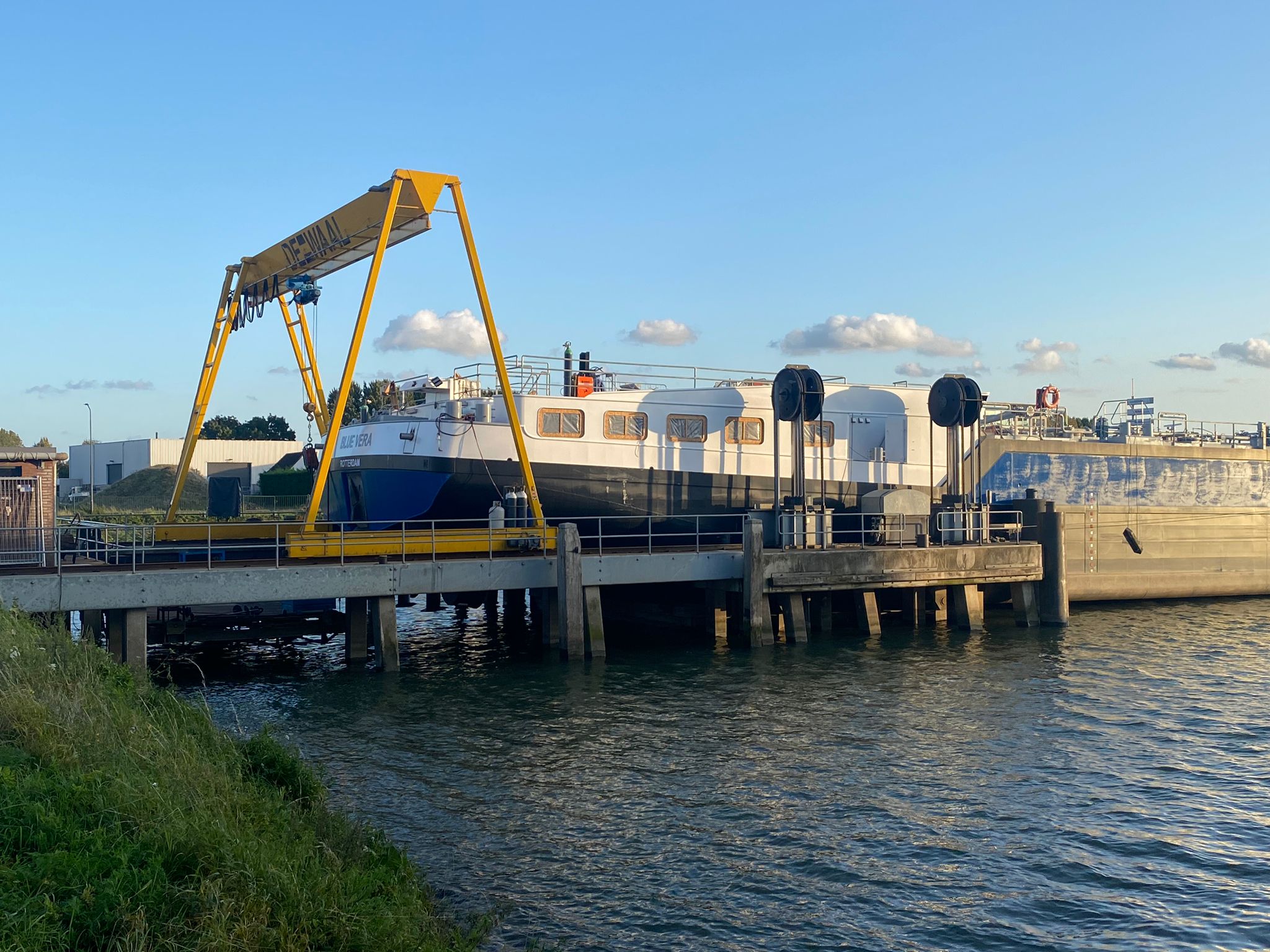 Blue Vera in de lift